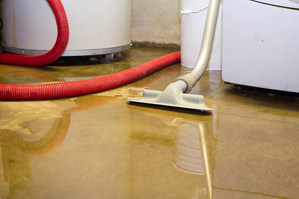 Water damage restoration insurance claims in MN