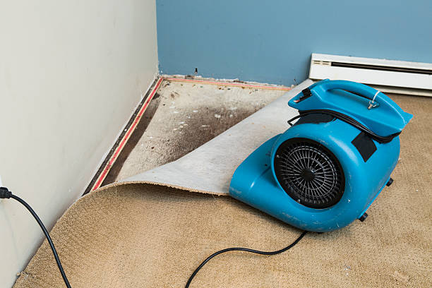 Best Fire Damage Restoration  in Benson, MN